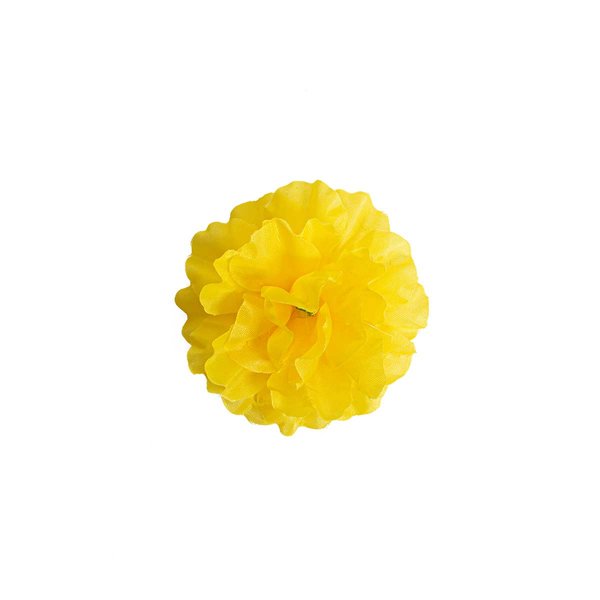 Flor de Muerto Blüte Gelb